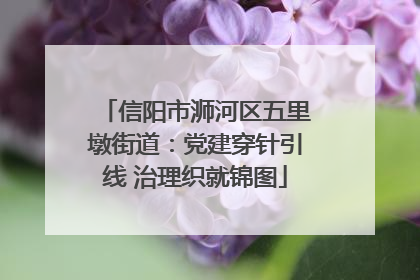 信阳市浉河区五里墩街道：党建穿针引线 治理织就锦图