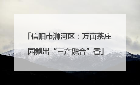 信阳市浉河区：万亩茶庄园飘出“三产融合”香