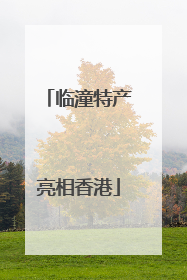 临潼特产亮相香港