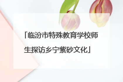 临汾市特殊教育学校师生探访乡宁紫砂文化