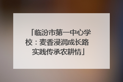 临汾市第一中心学校：麦香浸润成长路 实践传承农耕情