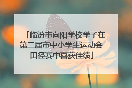 临汾市向阳学校学子在第二届市中小学生运动会田径赛中喜获佳绩