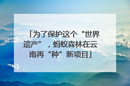 为了保护这个“世界遗产”，蚂蚁森林在云南再“种”新项目