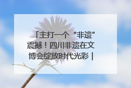 主打一个“非遗”震撼！四川非遗在文博会绽放时代光彩｜文博向“新”
