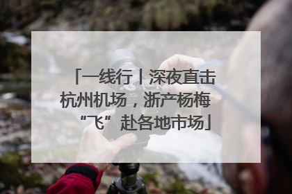 一线行丨深夜直击杭州机场，浙产杨梅“飞”赴各地市场