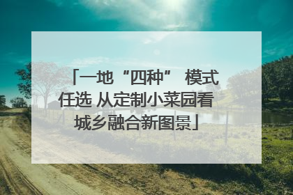 一地“四种” 模式任选 从定制小菜园看城乡融合新图景