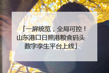 一屏统览，全局可控！山东港口日照港粮食码头数字孪生平台上线