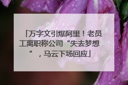 万字文引爆阿里！老员工离职称公司“失去梦想”，马云下场回应