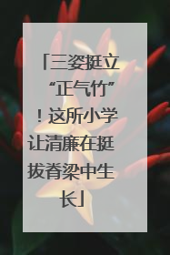 三姿挺立“正气竹”！这所小学让清廉在挺拔脊梁中生长