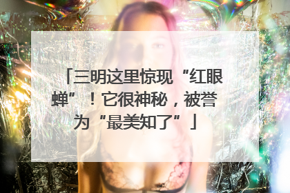 三明这里惊现“红眼蝉”！它很神秘，被誉为“最美知了”