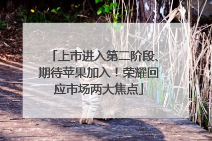 上市进入第二阶段、期待苹果加入！荣耀回应市场两大焦点
