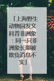 上海野生动物园发文科普非洲象：同一只非洲象长期被欺负消息不实