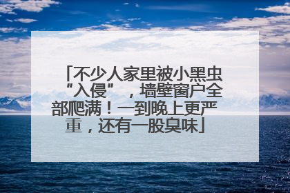 不少人家里被小黑虫“入侵”，墙壁窗户全部爬满！一到晚上更严重，还有一股臭味