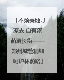 不须秉烛寻凉去 自有浓荫覆长街——郑州城管精细呵护林荫路