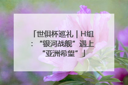 世俱杯巡礼｜H组：“银河战舰”遇上“亚洲希望”