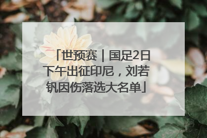 世预赛｜国足2日下午出征印尼，刘若钒因伤落选大名单