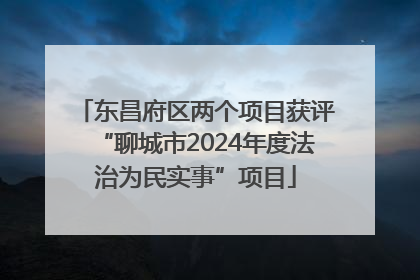 东昌府区两个项目获评“聊城市2024年度法治为民实事”项目