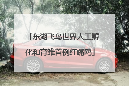 东湖飞鸟世界人工孵化和育雏首例红嘴鸥