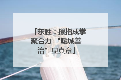 东胜：攥指成拳聚合力 “暖城善治”显真章