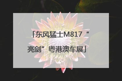 东风猛士M817“亮剑”粤港澳车展