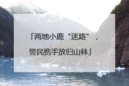 两地小鹿“迷路”，警民携手放归山林