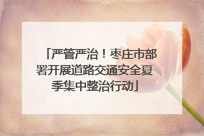 严管严治！枣庄市部署开展道路交通安全夏季集中整治行动