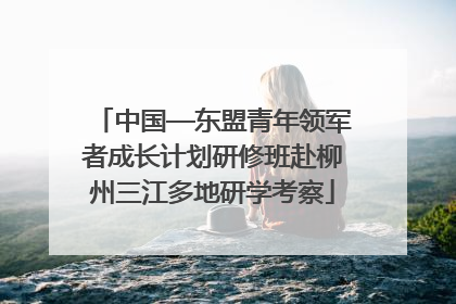 中国—东盟青年领军者成长计划研修班赴柳州三江多地研学考察
