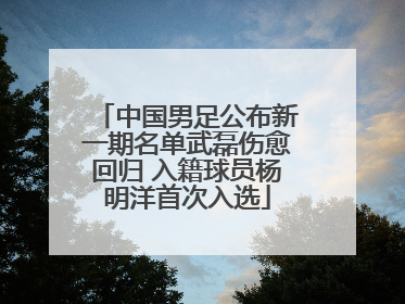 中国男足公布新一期名单武磊伤愈回归 入籍球员杨明洋首次入选