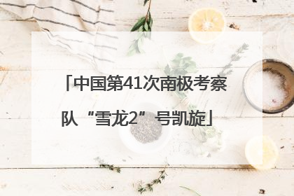 中国第41次南极考察队“雪龙2”号凯旋