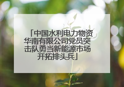 中国水利电力物资华南有限公司党员突击队勇当新能源市场开拓排头兵