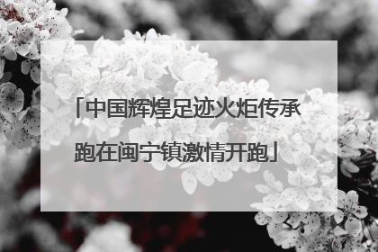 中国辉煌足迹火炬传承跑在闽宁镇激情开跑