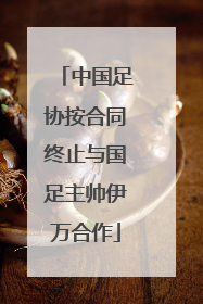 中国足协按合同终止与国足主帅伊万合作