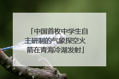 中国首枚中学生自主研制的气象探空火箭在青海冷湖发射