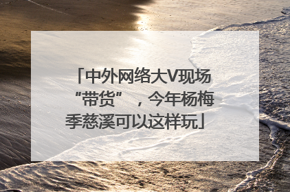 中外网络大V现场“带货”，今年杨梅季慈溪可以这样玩