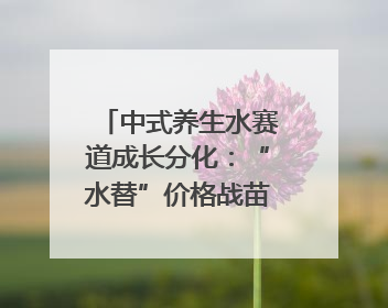 中式养生水赛道成长分化：“水替”价格战苗头已现 “功能饮”价高市场难打开｜中药大健康赛道迭变