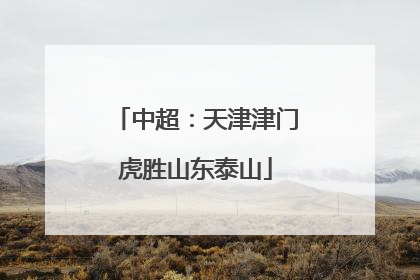 中超：天津津门虎胜山东泰山