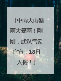 中雨大雨暴雨大暴雨！刚刚，武汉气象官宣：18日入梅！
