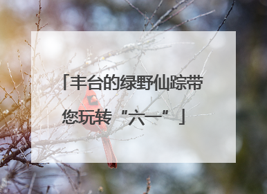 丰台的绿野仙踪带您玩转“六一”