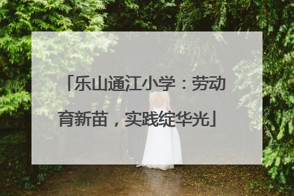 乐山通江小学：劳动育新苗，实践绽华光