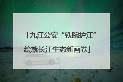 九江公安“铁腕护江”绘就长江生态新画卷
