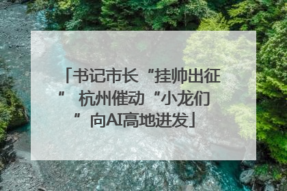 书记市长“挂帅出征” 杭州催动“小龙们”向AI高地进发