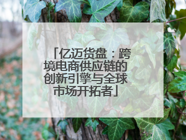 亿迈货盘：跨境电商供应链的创新引擎与全球市场开拓者