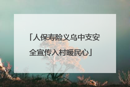 人保寿险义乌中支安全宣传入村暖民心