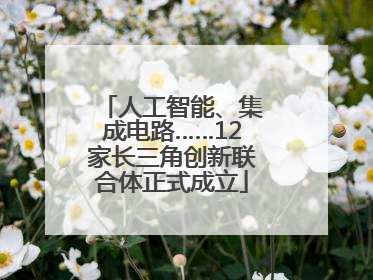 人工智能、集成电路……12家长三角创新联合体正式成立