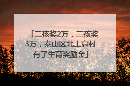 二孩奖2万，三孩奖3万，泰山区北上高村有了生育奖励金