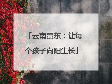 云南景东：让每个孩子向阳生长
