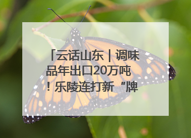 云话山东｜调味品年出口20万吨！乐陵连打新“牌”助力企业出海