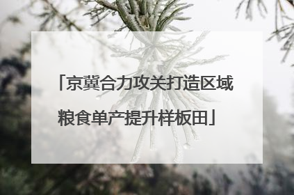 京冀合力攻关打造区域粮食单产提升样板田