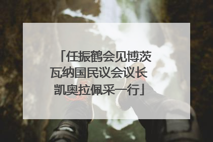 任振鹤会见博茨瓦纳国民议会议长凯奥拉佩采一行