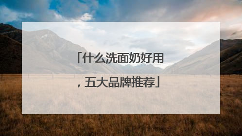 什么洗面奶好用，五大品牌推荐